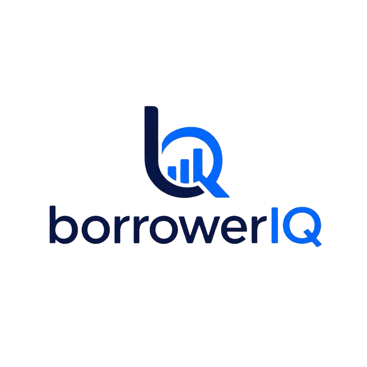 BorrowerIQ™